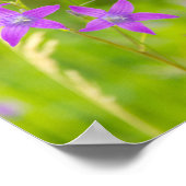 Fijne paarse bloemen in het veld poster (Hoek)