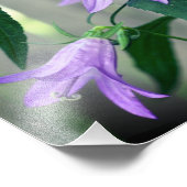 Fijne Paarse leliebloemen 8x8 Foto Afdruk (Hoek)