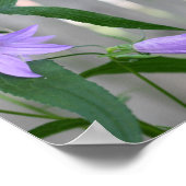 Fijne Paarse Leliebloemen Abstract Poster (Hoek)