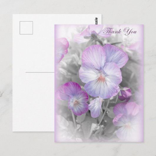 Fijne Paarse Pansies Dank u Briefkaart (Voorkant / Achterkant)