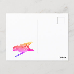 Fijne papegaai briefkaart