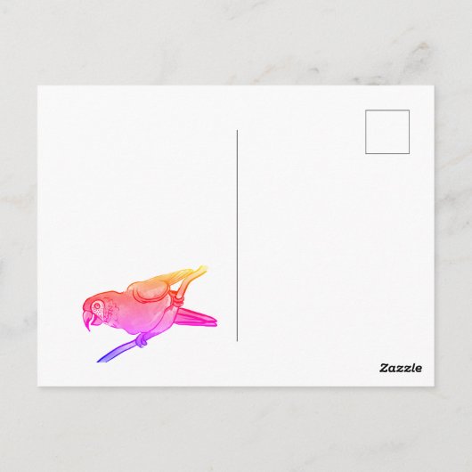 Fijne papegaai briefkaart (Achterkant)