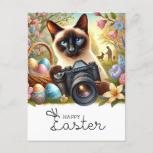 Fijne Pasen voor kattenliefhebbers