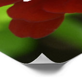 Fijne reuzenbloem bij bijen poster (Hoek)