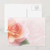 Fijne Roos Alle Occasie Post Kaart (Voorkant / Achterkant)