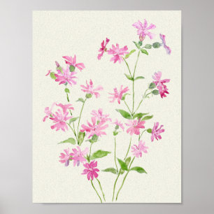Fijne roos-roze rode Campion Flowers waterverf Poster