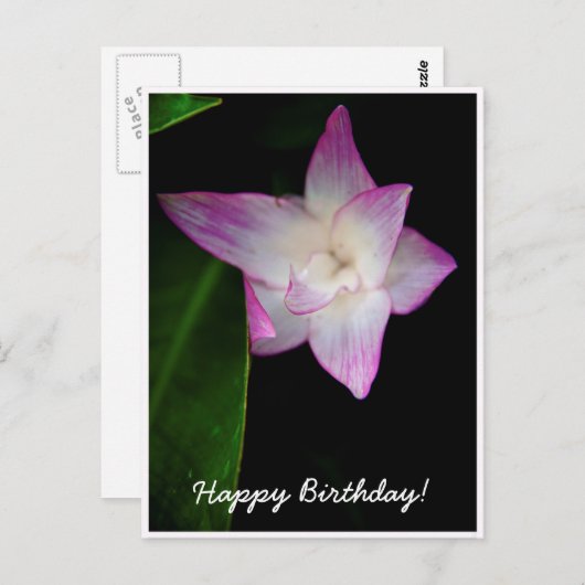 Fijne roze bloem Happy Birthday Briefkaart (Voorkant / Achterkant)