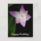 Fijne roze bloem Happy Birthday Briefkaart (Voorkant)