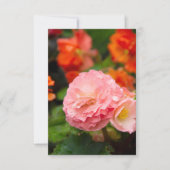 Fijne roze bloem na de regen (Voorkant)