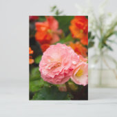 Fijne roze bloem na de regen (Staand voorkant)