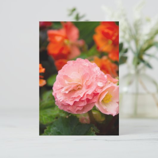 Fijne roze bloem na de regen (Staand voorkant)