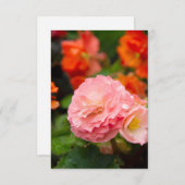 Fijne roze bloem na de regen (Voorkant / Achterkant)