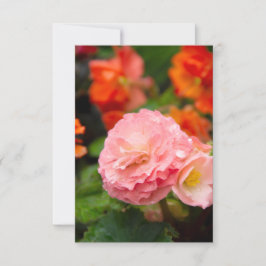 Fijne roze bloem na de regen