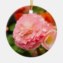 Fijne roze bloem na de regen