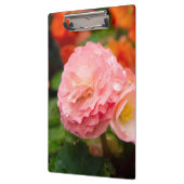 Fijne roze bloem na de regen klembord (Links)