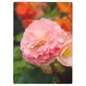 Fijne roze bloem na de regen klembord (Achterkant)