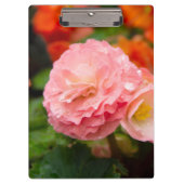 Fijne roze bloem na de regen klembord (Voorkant)