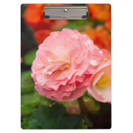 Fijne roze bloem na de regen klembord