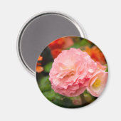 Fijne roze bloem na de regen magneet (Voorkant / Achterkant)