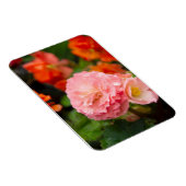 Fijne roze bloem na de regen magneet (Rechterzijde)