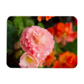 Fijne roze bloem na de regen magneet (Horizontaal)