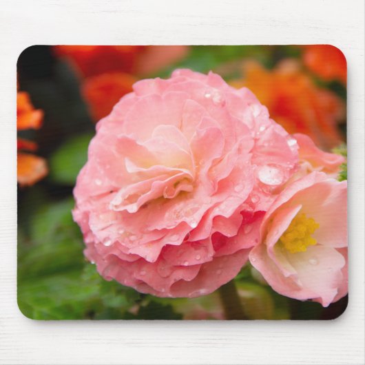 Fijne roze bloem na de regen muismat (Voorkant)