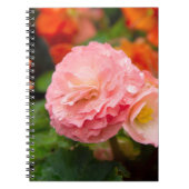 Fijne roze bloem na de regen notitieboek (Voorkant)