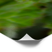 Fijne roze bloem na de regen perfect poster (Hoek)