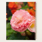Fijne roze bloem na de regen planner (Achterkant)