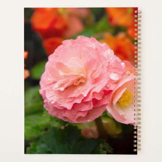Fijne roze bloem na de regen planner (Achterkant)