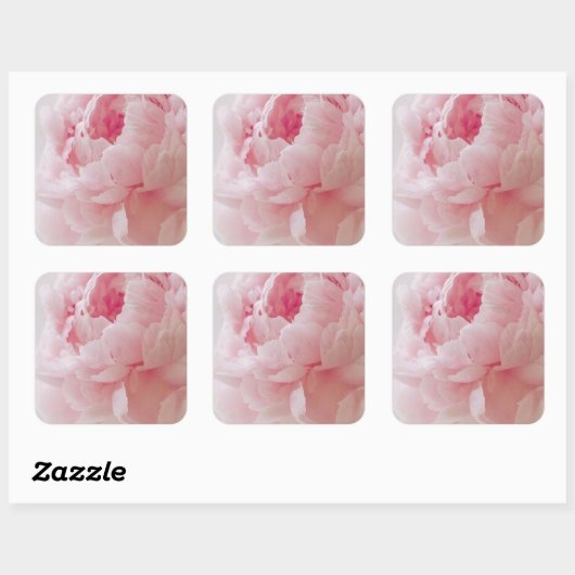 Fijne roze pioenroos Stickers (Vel)