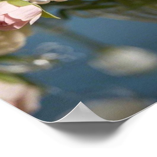 Fijne roze roos met parel in vaas poster (Hoek)