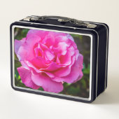 Fijne roze roze roos. (Achterkant)