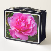 Fijne roze roze roos. (Voorkant)