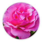 Fijne roze roze roos. keramische knop (Voorkant)