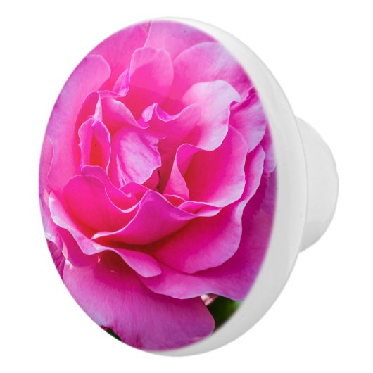 Fijne roze roze roos. keramische knop (Rechts)