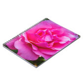 Fijne roze roze roos. notitieboek (Linkerzijde)