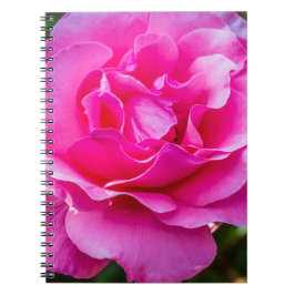 Fijne roze roze roos. notitieboek