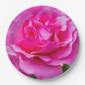 Fijne roze roze roos. papieren bordje (Voorkant)