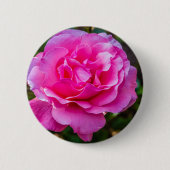 Fijne roze roze roos. ronde button 5,7 cm (Voorkant)