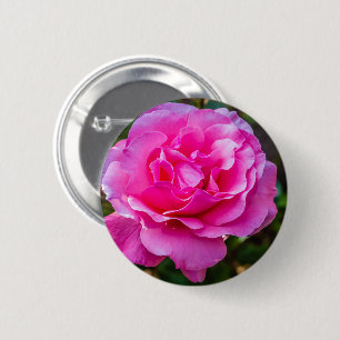 Fijne roze roze roos. ronde button 5,7 cm