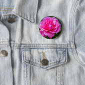 Fijne roze roze roos. ronde button 5,7 cm (In situ)