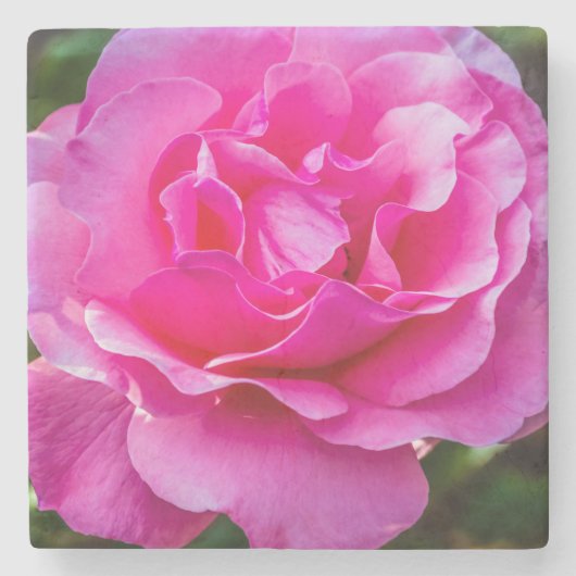Fijne roze roze roos. stenen onderzetter (Voorkant)