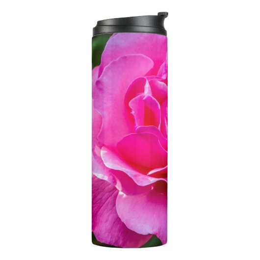 Fijne roze roze roos. thermosbeker (Gedraaid links)