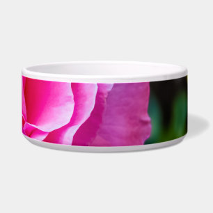 Fijne roze roze roos. voerbakje