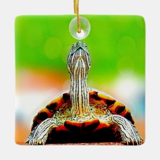 Fijne schildpad met luchtbel keramisch ornament (Voorkant)