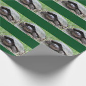 Fijne snuifschildpad — Verpakkingspapier Cadeaupapier (Hoek)