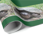 Fijne snuifschildpad — Verpakkingspapier Cadeaupapier (Rol Hoek)