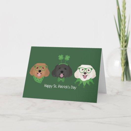 Fijne St. Patrick's Dag Maltipoo Honden Feestdagen Kaart (Voorkant)