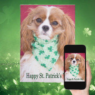 Fijne St. Patrick's Day Cavalier King Charles Pup Kaart